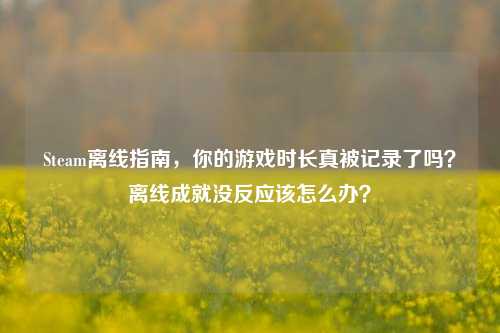 Steam离线指南，你的游戏时长真被记录了吗？离线成就没反应该怎么办？