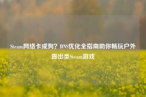 Steam网络卡成狗？DNS优化全指南助你畅玩户外露出类Steam游戏