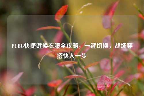PUBG快捷键换衣服全攻略,一键切换,战场穿搭快人一步
