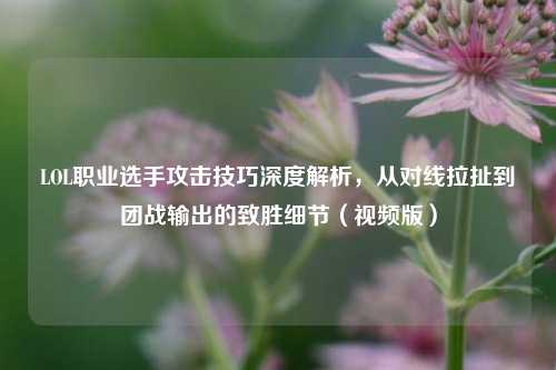 LOL职业选手攻击技巧深度解析，从对线拉扯到团战输出的致胜细节（视频版）