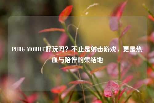PUBG MOBILE好玩吗？不止是射击游戏，更是热血与陪伴的集结地