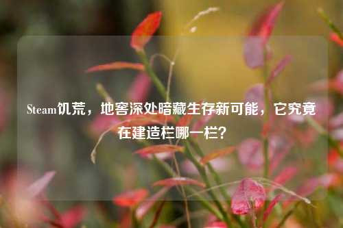 Steam饥荒,地窖深处暗藏生存新可能,它究竟在建造栏哪一栏?