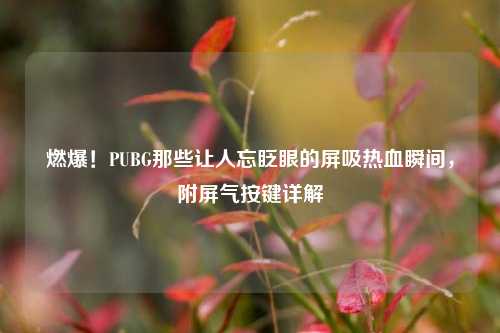 燃爆!PUBG那些让人忘眨眼的屏吸热血瞬间,附屏气按键详解