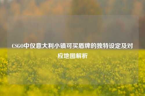 CSGO中仅意大利小镇可买盾牌的独特设定及对应地图解析