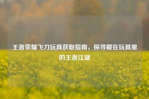 王者荣耀飞刀玩具获取指南，探寻藏在玩具里的王者江湖