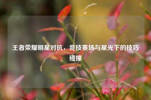 王者荣耀明星对抗，竞技赛场与星光下的技巧碰撞