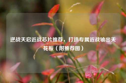 逆战天启近战芯片推荐,打造专属近战输出天花板(附推荐图)