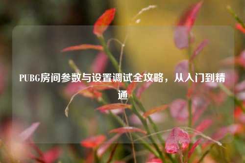 PUBG房间参数与设置调试全攻略，从入门到精通