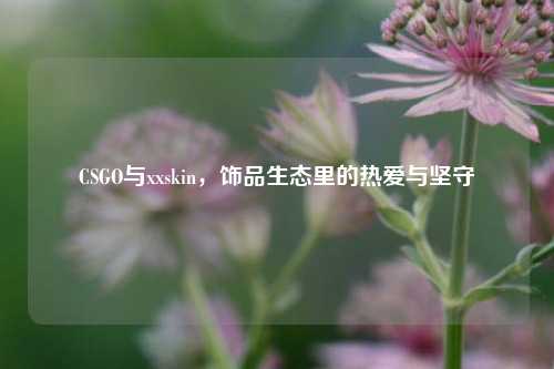 CSGO与xxskin，饰品生态里的热爱与坚守