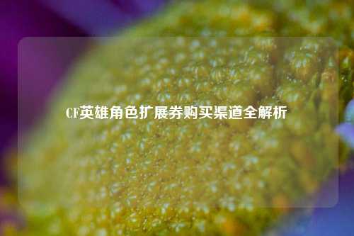 CF英雄角色扩展券购买渠道全解析