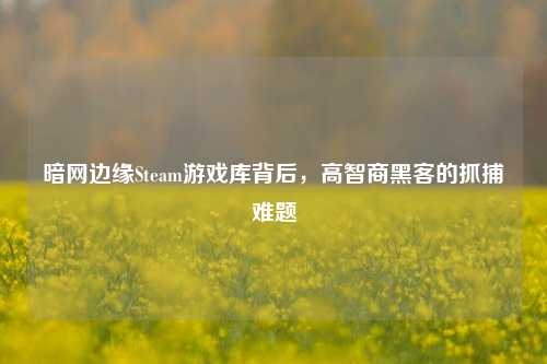 暗网边缘Steam游戏库背后,高智商黑客的抓捕难题