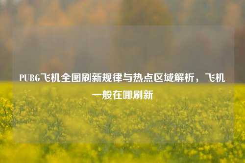 PUBG飞机全图刷新规律与热点区域解析，飞机一般在哪刷新
