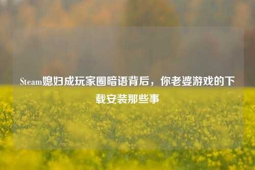 Steam媳妇成玩家圈暗语背后，你老婆游戏的下载安装那些事