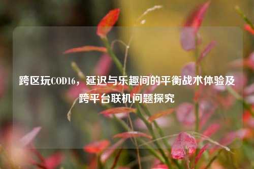 跨区玩COD16,延迟与乐趣间的平衡战术体验及跨平台联机问题探究