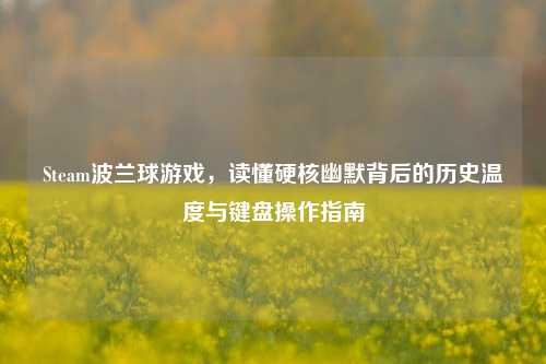 Steam波兰球游戏,读懂硬核幽默背后的历史温度与键盘操作指南