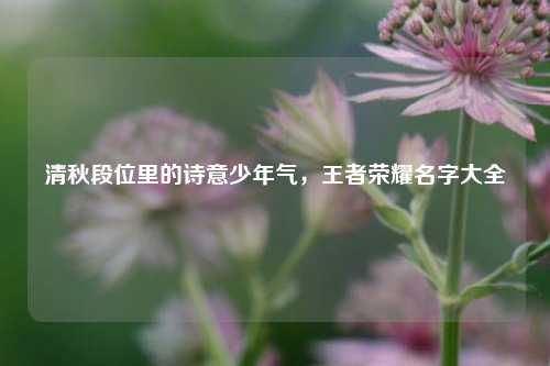 清秋段位里的诗意少年气，王者荣耀名字大全