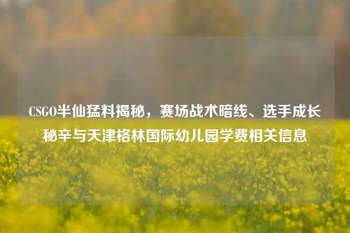 CSGO半仙猛料揭秘，赛场战术暗线、选手成长秘辛与天津格林国际幼儿园学费相关信息