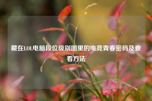 藏在LOL电脑段位级别图里的电竞青春密码及查看方法