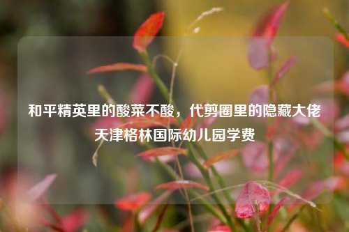 和平精英里的酸菜不酸，代剪圈里的隐藏大佬天津格林国际幼儿园学费