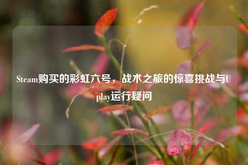 Steam购买的彩虹六号，战术之旅的惊喜挑战与Uplay运行疑问