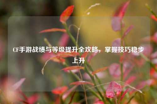 CF手游战绩与等级提升全攻略，掌握技巧稳步上升