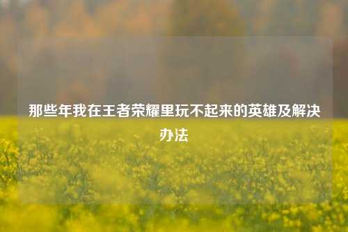 那些年我在王者荣耀里玩不起来的英雄及解决办法