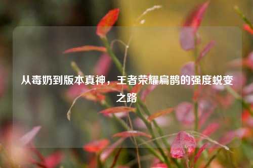 从毒奶到版本真神，王者荣耀扁鹊的强度蜕变之路