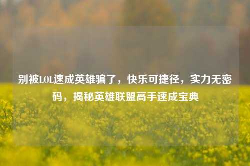 别被LOL速成英雄骗了，快乐可捷径，实力无密码，揭秘英雄联盟高手速成宝典