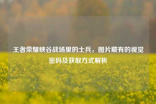 王者荣耀峡谷战场里的士兵，图片藏有的视觉密码及获取方式解析