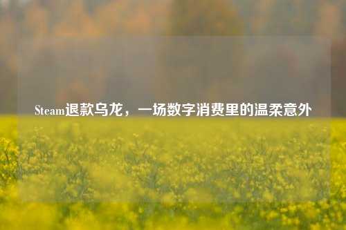 Steam退款乌龙，一场数字消费里的温柔意外