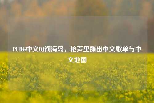 PUBG中文DJ闯海岛，枪声里蹦出中文歌单与中文地图