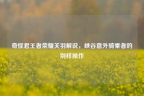奇怪君王者荣耀关羽解说,峡谷意外骑乘者的别样操作