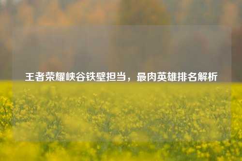 王者荣耀峡谷铁壁担当，最肉英雄排名解析