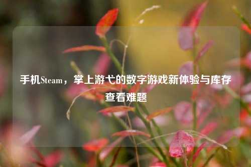 手机Steam，掌上游弋的数字游戏新体验与库存查看难题