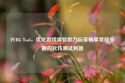 PUBG Tool，优化游戏体验助力玩家畅享竞技乐趣的软件测试利器