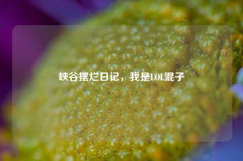 峡谷摆烂日记，我是LOL混子