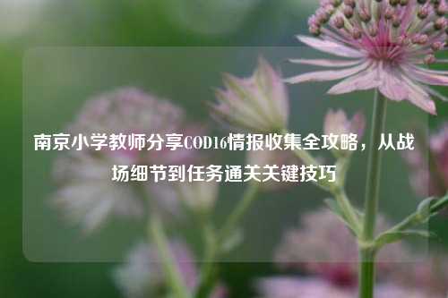 南京小学教师分享COD16情报收集全攻略，从战场细节到任务通关关键技巧