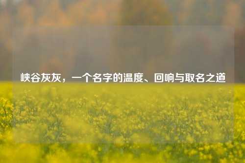 峡谷灰灰，一个名字的温度、回响与取名之道