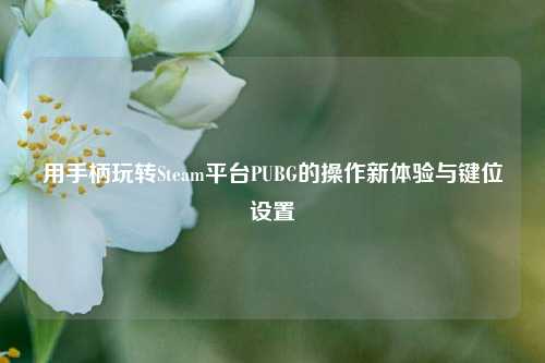 用手柄玩转Steam平台PUBG的操作新体验与键位设置
