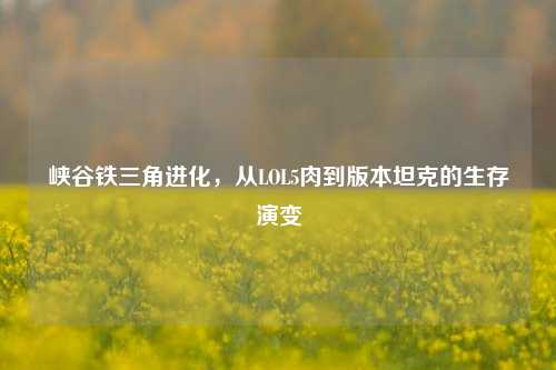 峡谷铁三角进化，从LOL5肉到版本坦克的生存演变