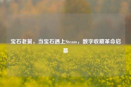 宝石老舅，当宝石遇上Steam，数字收藏革命启幕