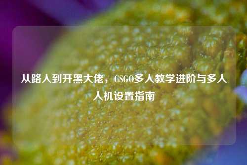 从路人到开黑大佬，CSGO多人教学进阶与多人人机设置指南