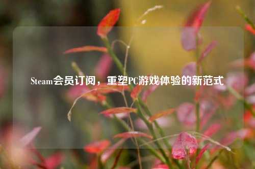 Steam会员订阅，重塑PC游戏体验的新范式