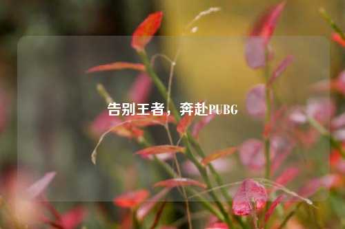 告别王者，奔赴PUBG