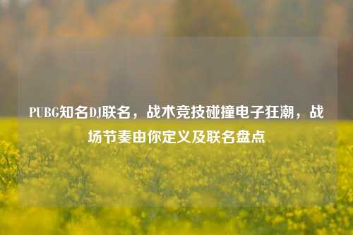 PUBG知名DJ联名，战术竞技碰撞电子狂潮，战场节奏由你定义及联名盘点
