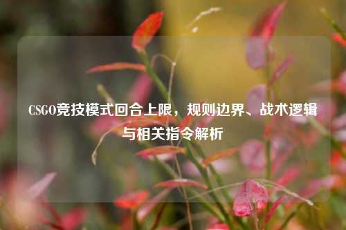 CSGO竞技模式回合上限，规则边界、战术逻辑与相关指令解析