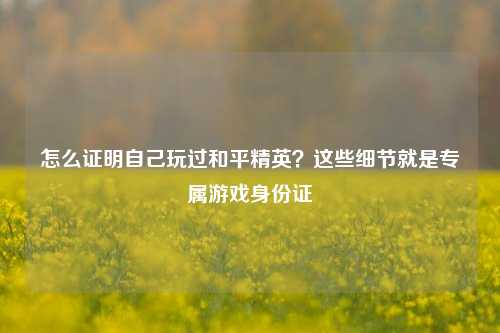 怎么证明自己玩过和平精英？这些细节就是专属游戏身份证