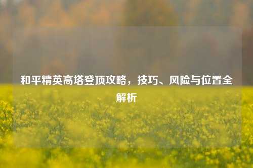 和平精英高塔登顶攻略，技巧、风险与位置全解析