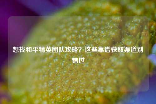 想找和平精英团队攻略？这些靠谱获取渠道别错过