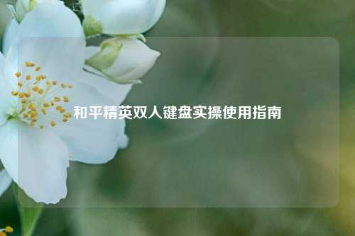和平精英双人键盘实操使用指南